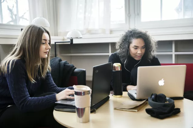 Students studying. 